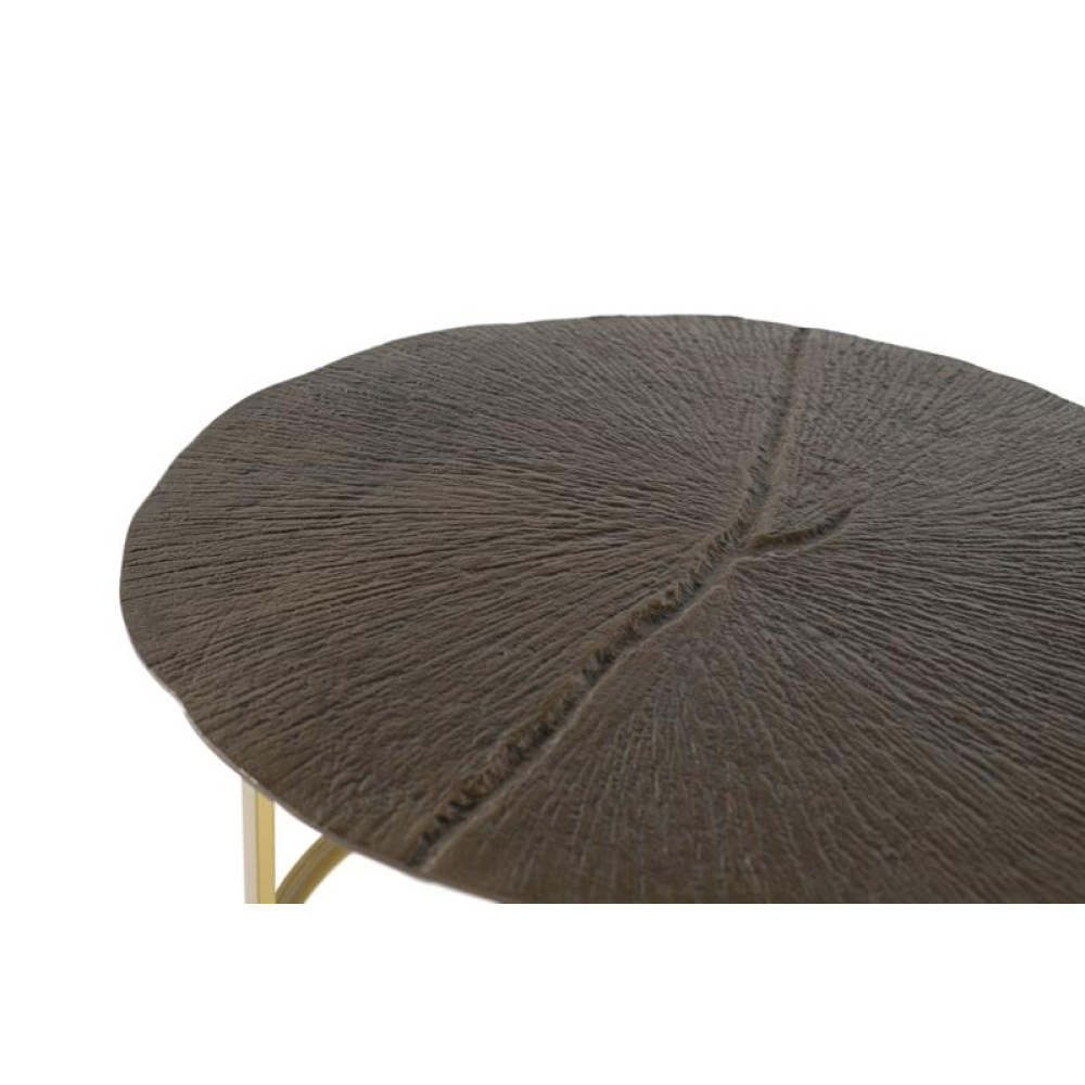 GINER Y COLOMER ТАБЛИЦЯ 1866