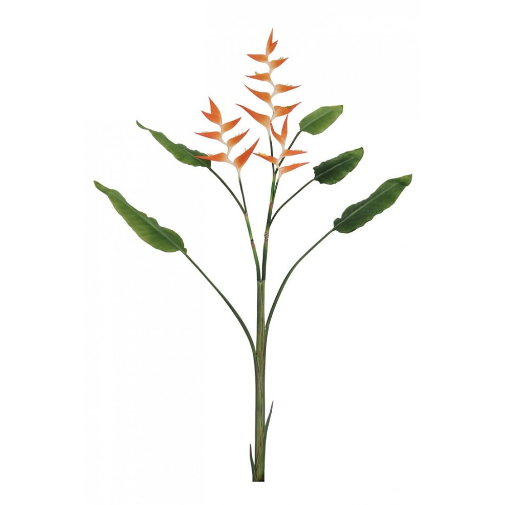 Bizzotto ELICONIA JESSYE X3F+5LEAVES ORANGE H172