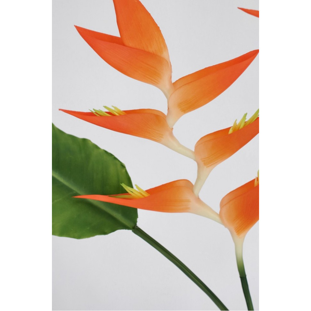 Bizzotto ELICONIA JESSYE X3F+5LEAVES ORANGE H172