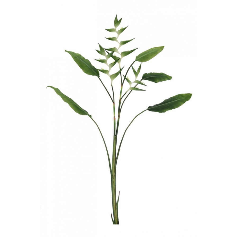 Bizzotto ELICONIA JESSYE X3F+5LEAVES GREEN H172