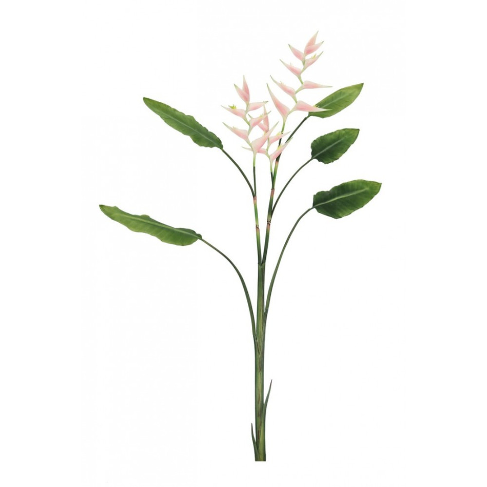 Bizzotto ELICONIA JESSYE X3F+5LEAVES PINK H172