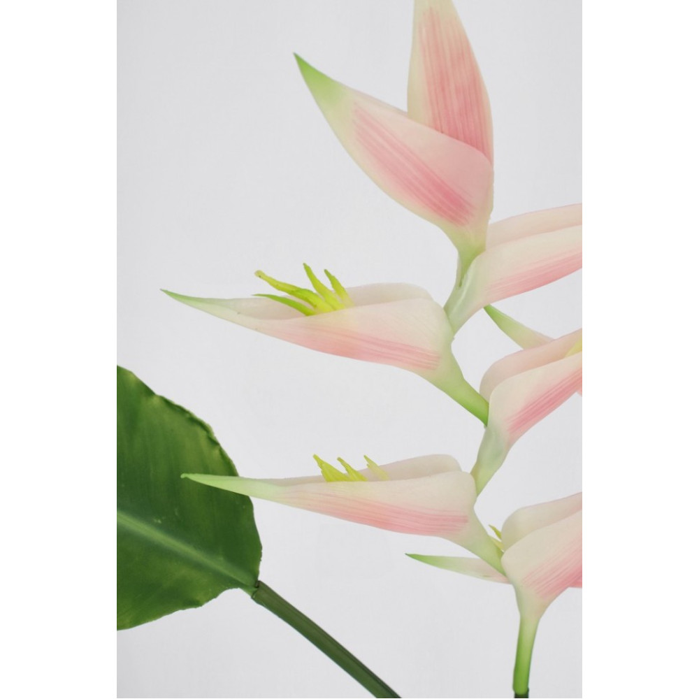 Bizzotto ELICONIA JESSYE X3F+5LEAVES PINK H172