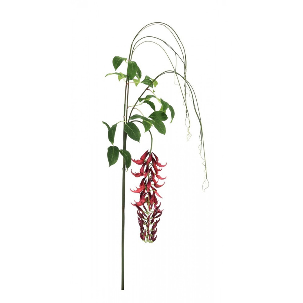 Bizzotto MACUNA KAYLIN RED H210CM