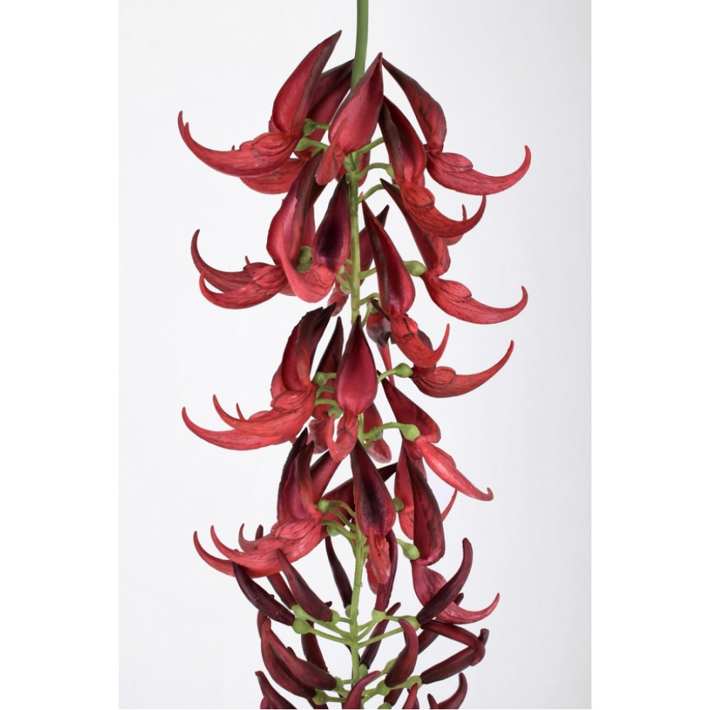 Bizzotto MACUNA KAYLIN RED H210CM