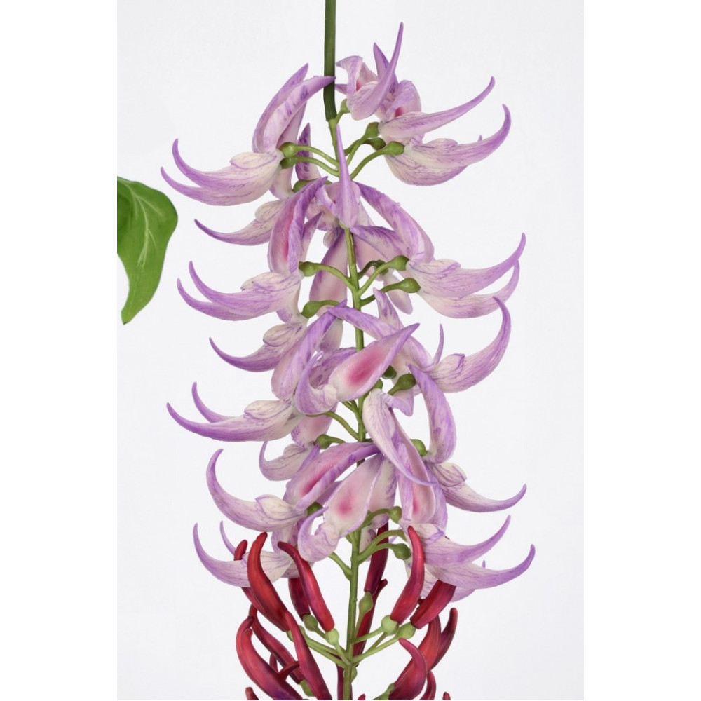 Bizzotto MACUNA KAYLIN PURPLE H210CM