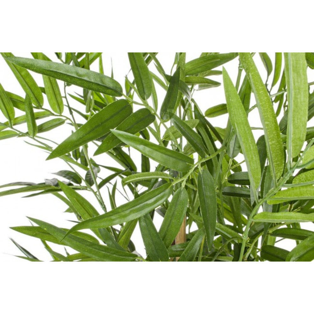 Bizzotto БАМБУКОВИЙ ГОРЩИК H130CM