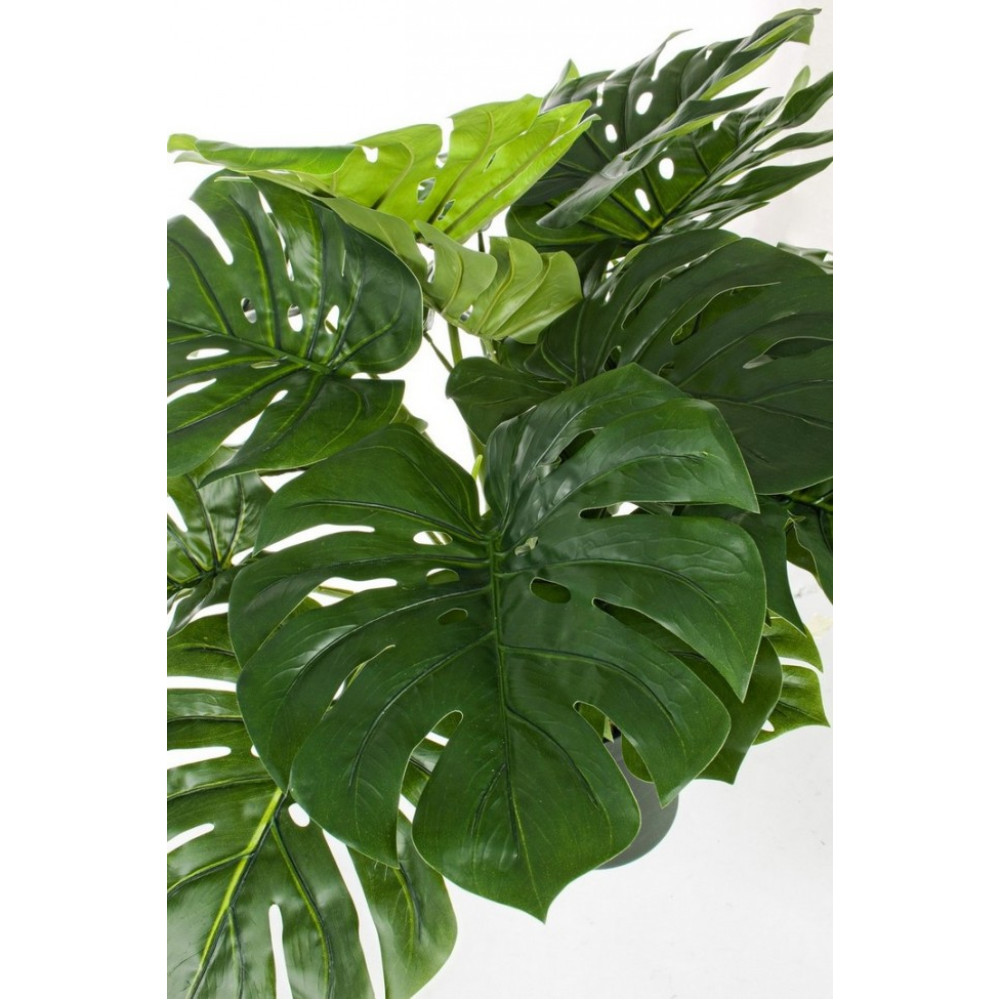 Bizzotto РОСЛИНА ФІЛОДЕНДРОНА 24 ЛИСТЯ В 65 СМ W-ВАЗА