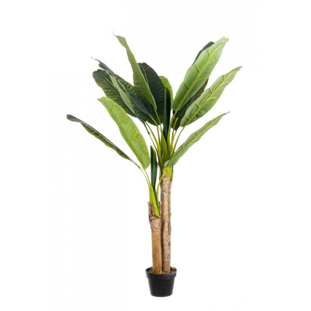 Bizzotto БАНАНОВА РОСЛИНА 14 ЛИСТІВ H135CM W-ВАЗА