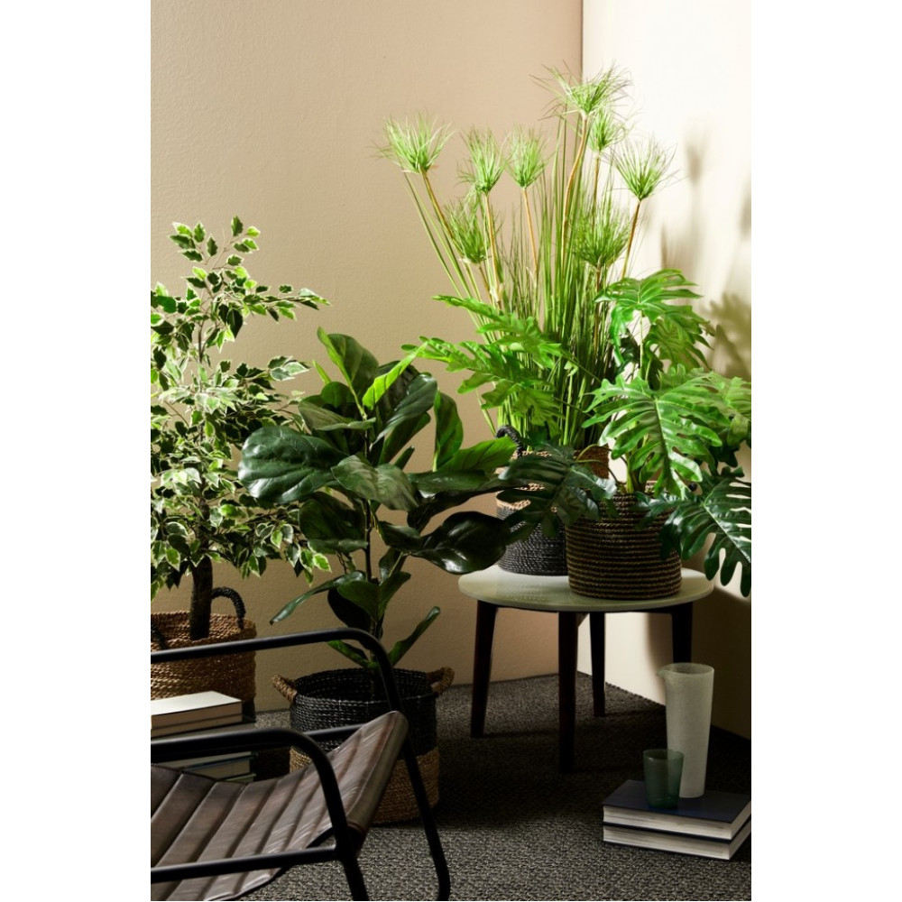 Bizzotto DESERTO GREEN PLANT X9F H120CM W-ВАЗА