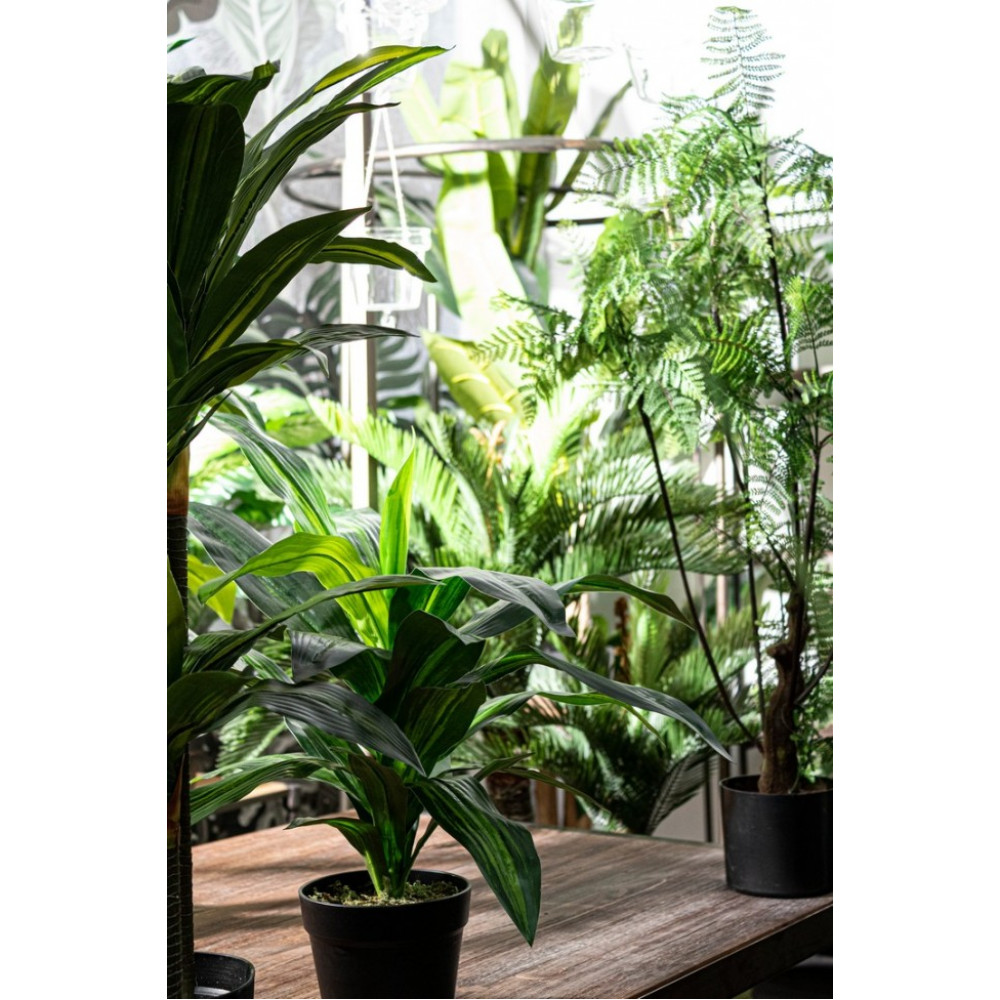 Bizzotto РОСЛИНА ПАПОРОТІ 75 ЛИСТІВ H108 W-ВАЗА