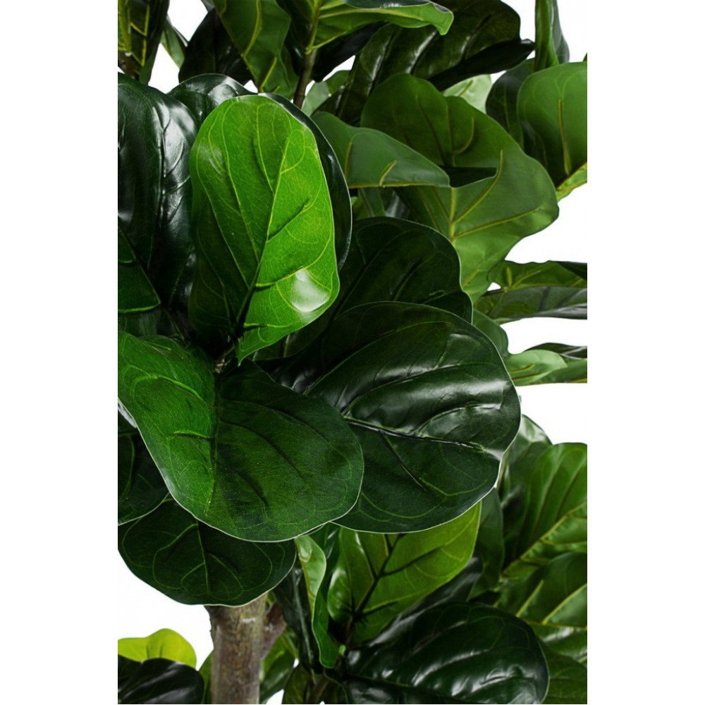 Bizzotto ФІКУС ЛІРАТА РОСЛИНА W-ВАЗА 153ЛИСТЯ H190