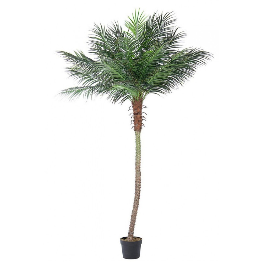 Bizzotto PALMA PLANT 21LEAVES W-ВАЗА H300