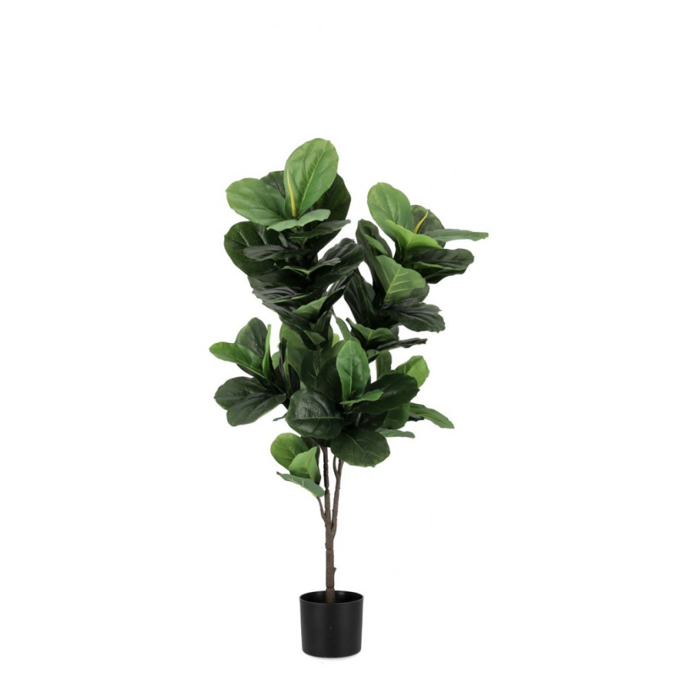 Bizzotto ФІКУС ЛІРАТА РОСЛИНА W-ГОРЩИК 72ЛИСТ. H120