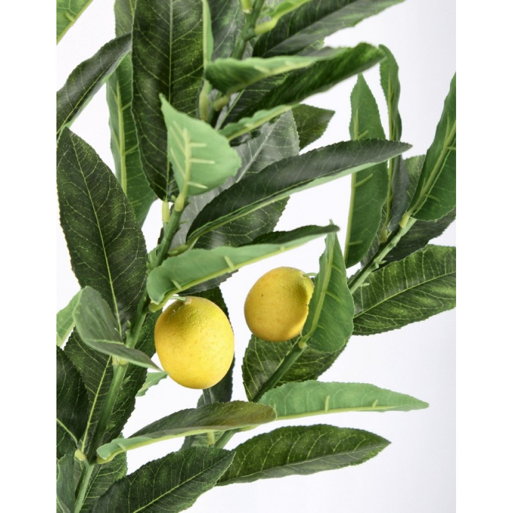 Bizzotto РОСЛИНА ЛИМОНА W-ГОРЩИК 224 ЛИСТЯ H115
