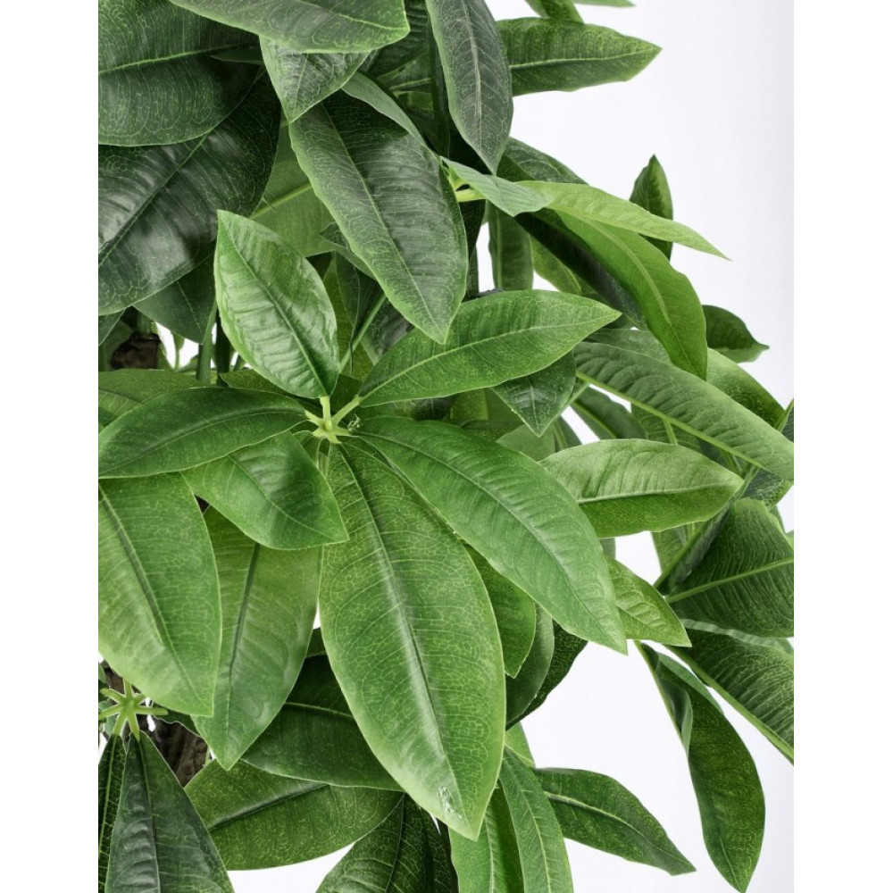 Bizzotto PACHIRA AQUATICA PLANT W-POT 280LEA H120