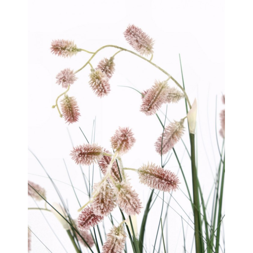 Bizzotto GREVILLEA PINK PLANT W-ВАЗА X7F H120