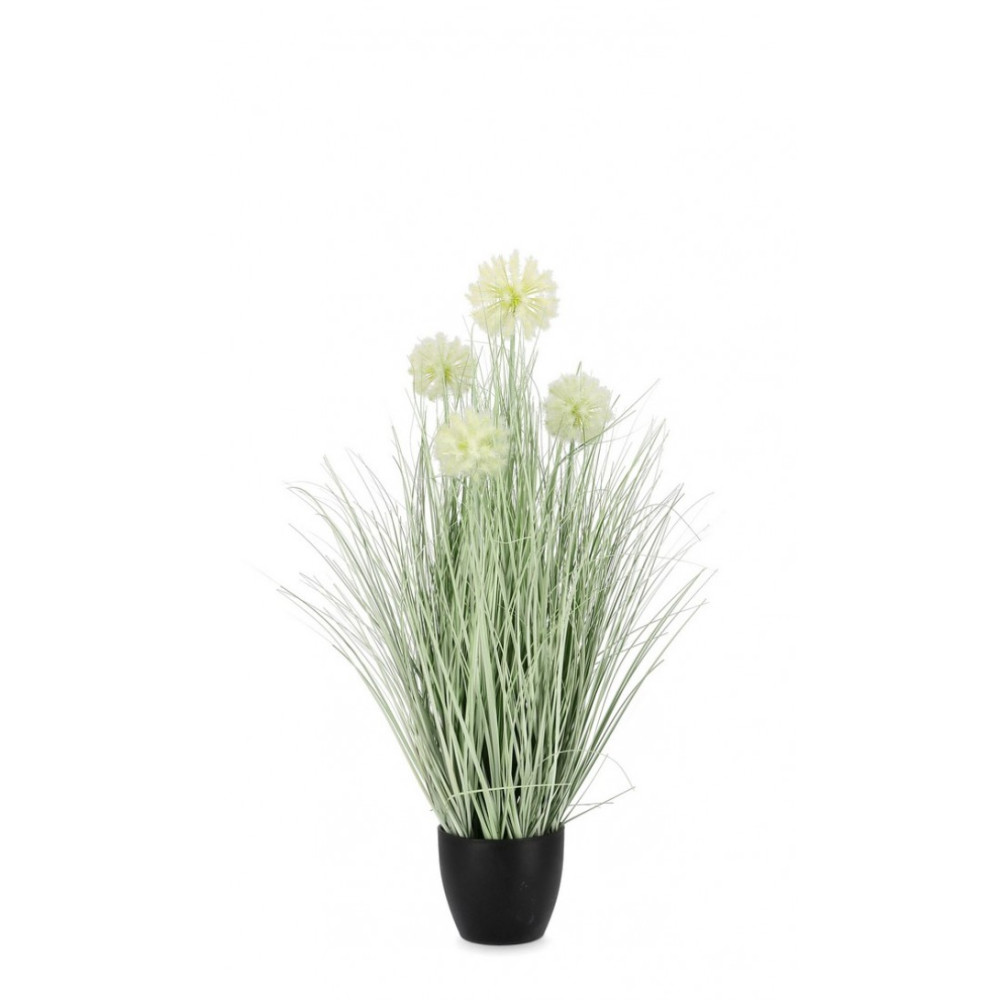 Bizzotto CEBOLLA WHITE PLANT W-POT X4F H75