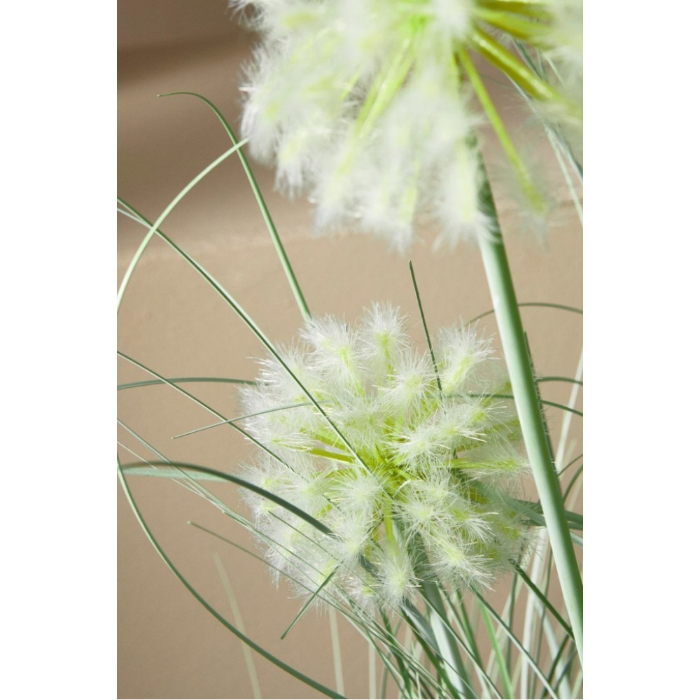 Bizzotto CEBOLLA WHITE PLANT W-POT X4F H75