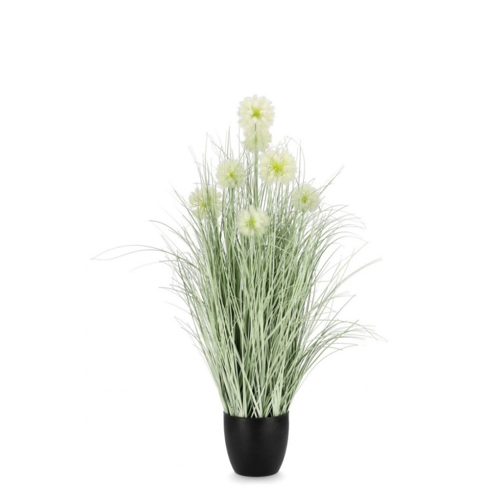 Bizzotto CEBOLLA WHITE PLANT W-POT X7F H105