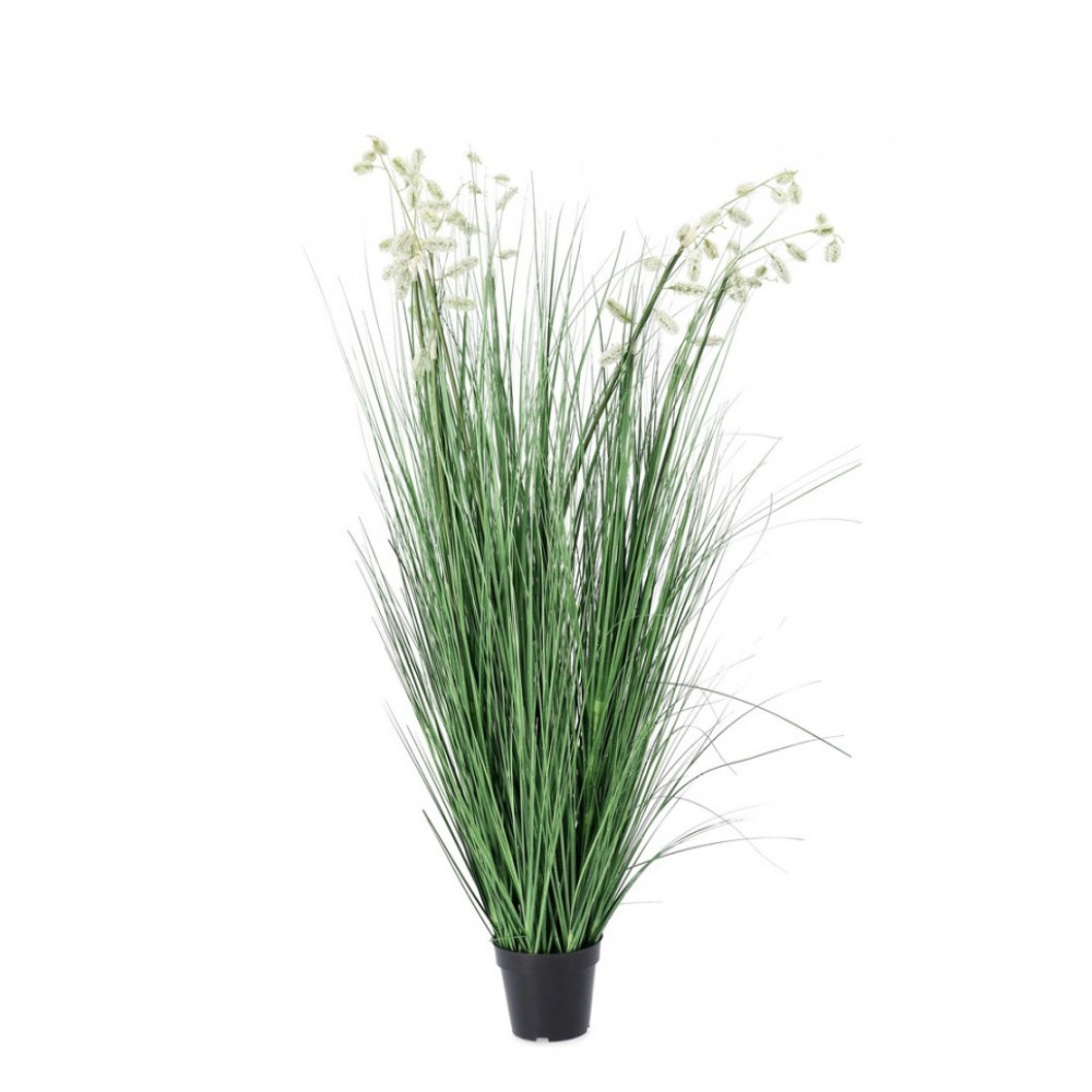 Bizzotto GREVILLEA WHITE PLANT W-ВАЗА X9F H150