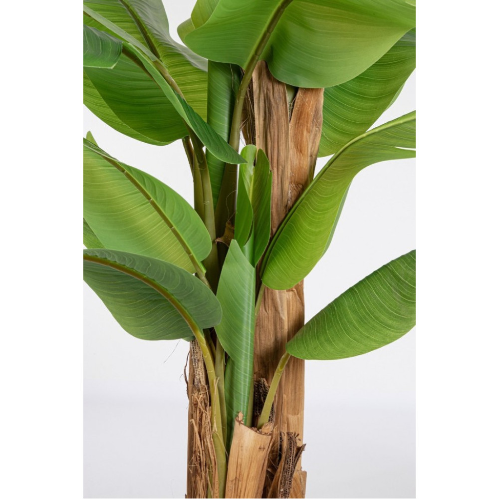 Bizzotto БАНАНОВА РОСЛИНА W-ВАЗА 22 ЛИСТИКА H240