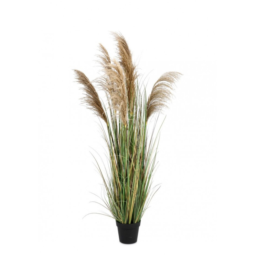 Bizzotto AUSTORDERIA PAMPAS PLANT W-ВАЗА H170