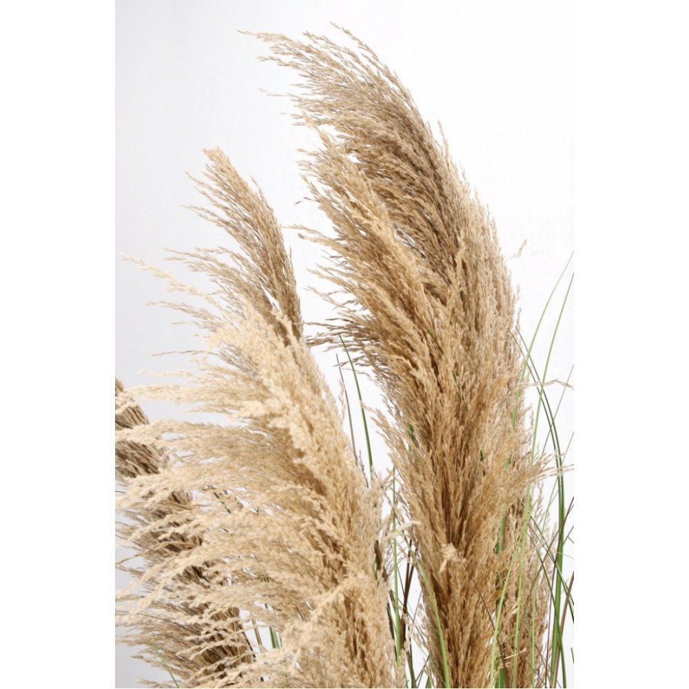 Bizzotto AUSTORDERIA PAMPAS PLANT W-ВАЗА H170