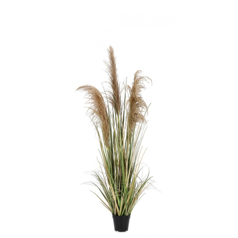 Bizzotto AUSTORDERIA PAMPAS PLANT W-ВАЗА H145