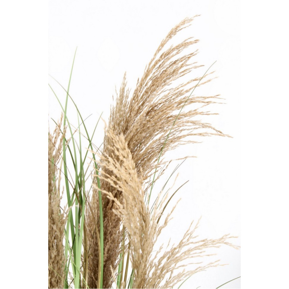 Bizzotto AUSTORDERIA PAMPAS PLANT W-ВАЗА H90