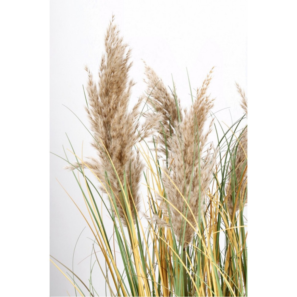 Bizzotto ГІНЕРІЙ РОСЛИНА З ВАЗОЮ H120