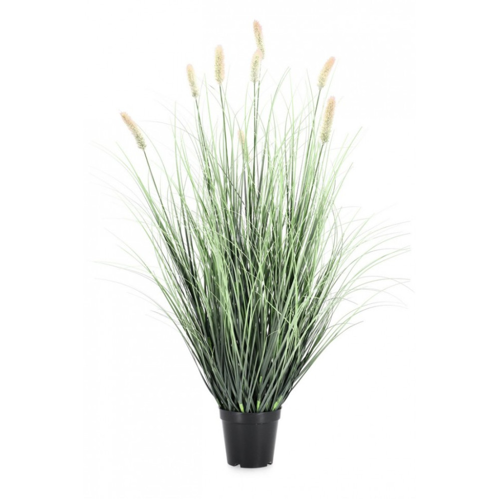 Bizzotto РОСЛИНА ПЕНІСЕТУМ W-ВАЗА H90