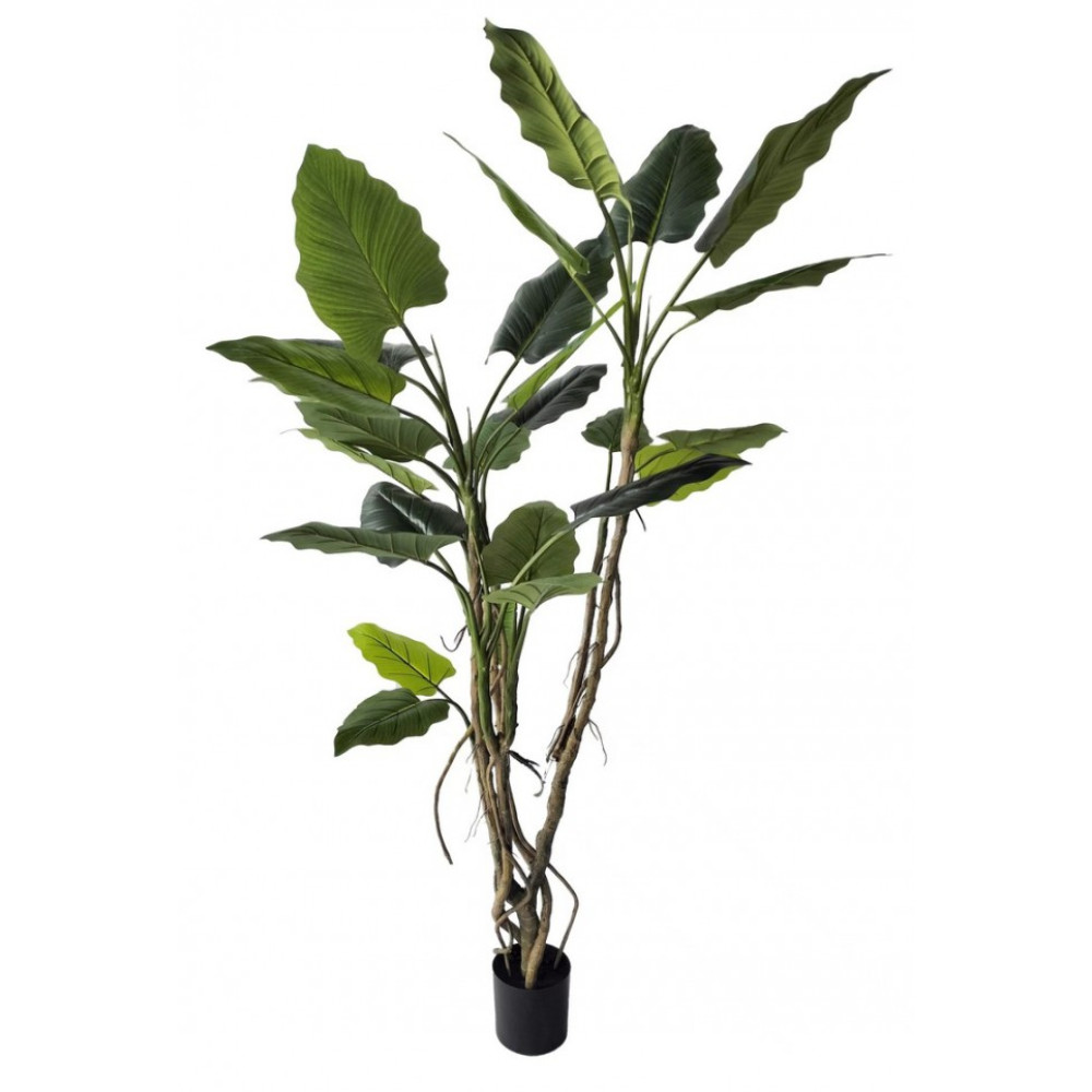 Bizzotto ALOCASIA PLANT W-ВАЗА H150