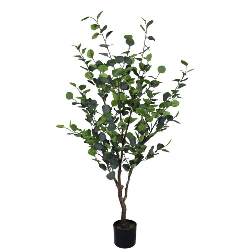 Bizzotto РОСЛИНА ЕВКАЛІПТА W-ПОТ H150