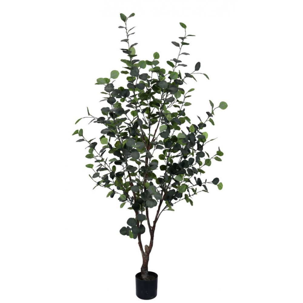 Bizzotto РОСЛИНА ЕВКАЛІПТА W-ПОТ H180