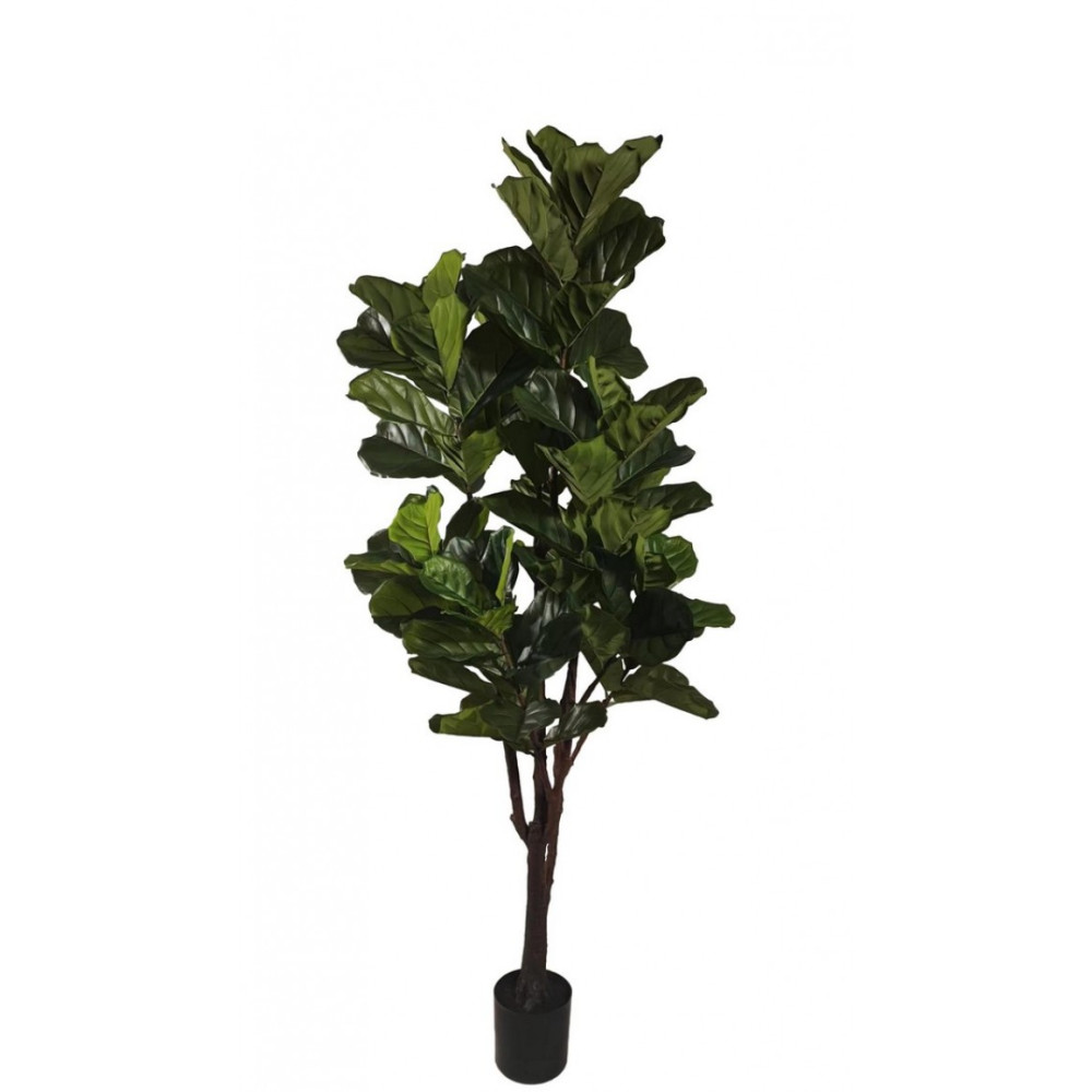 Bizzotto ФІКУС ЛІРАТА РОСЛИНА W-ВАЗА 102 ЛИСТЯ H220 Bizzotto ФІКУС ЛІРАТА РОСЛИНА W-ВАЗА 102 ЛИСТЯ H220