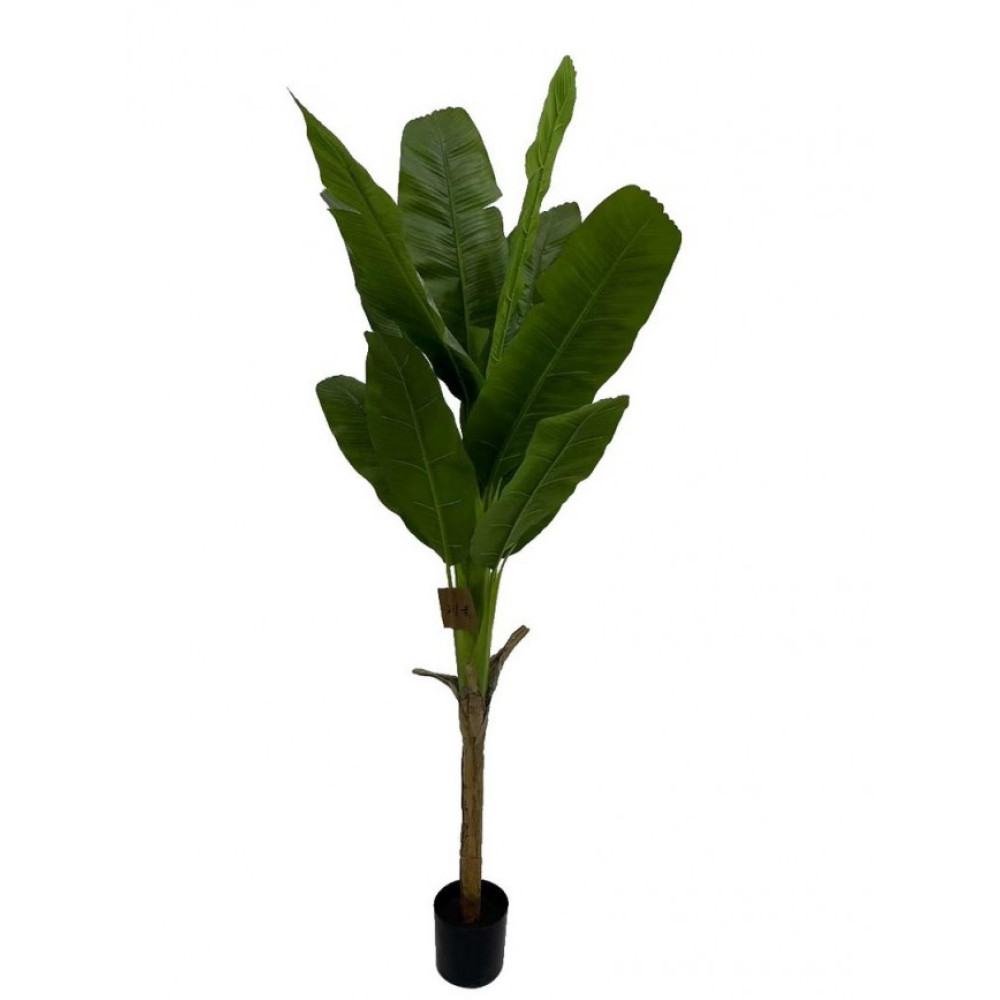 Bizzotto БАНАНОВА РОСЛИНА W-ВАЗА H210