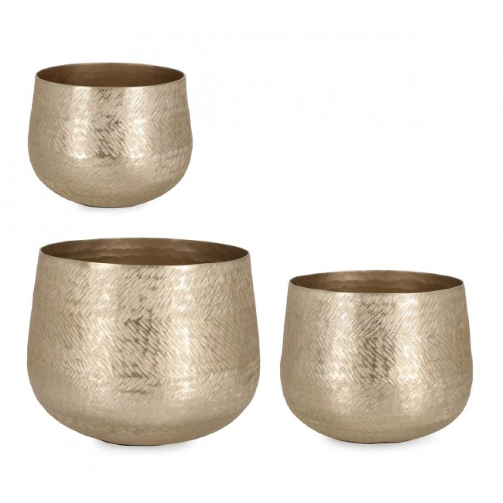 Bizzotto НАБІР 3 ЗАЖИМКІВ RO ЗОЛОТИЙ ТРИМАЧ ВАЗИ