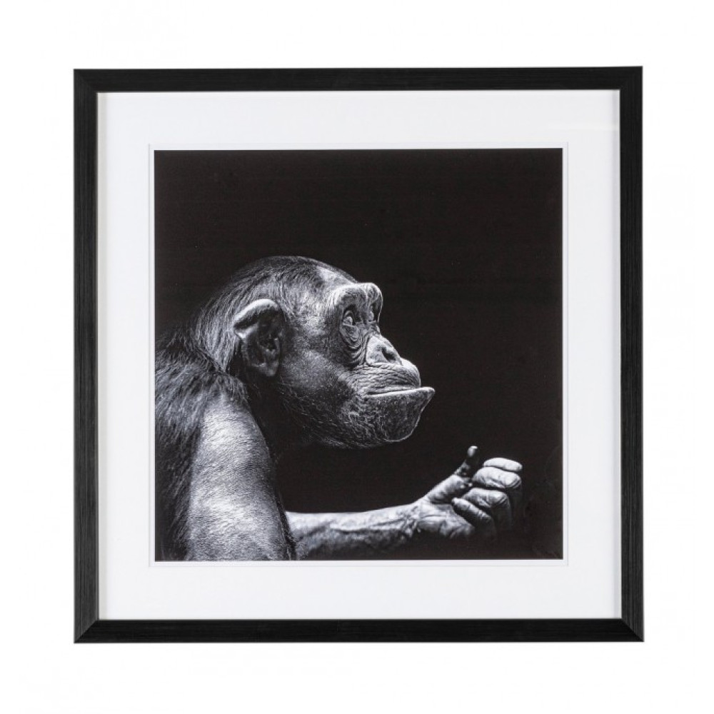 Bizzotto СВІДЧЕННЯ 106 РОЗПИС W-F 49X49