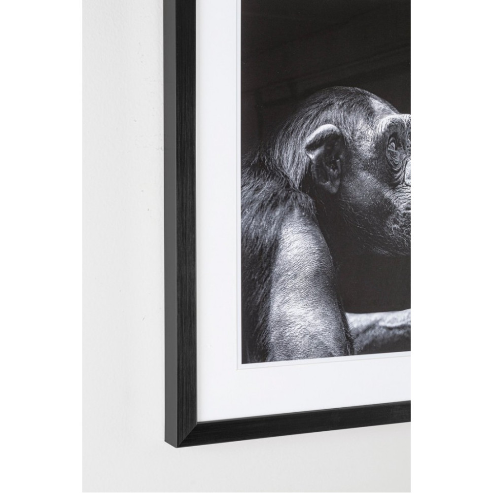 Bizzotto СВІДЧЕННЯ 106 РОЗПИС W-F 49X49