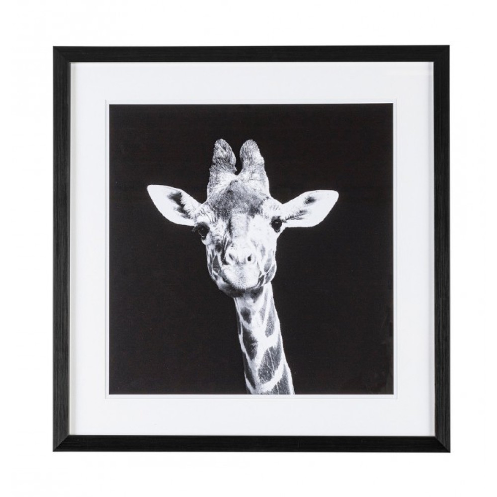 Bizzotto СВІДЧЕННЯ 107 РОЗПИС W-F 49X49