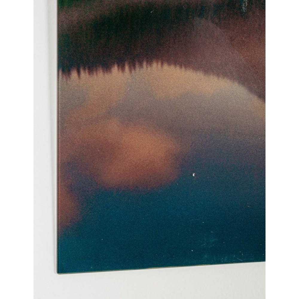 Bizzotto ПЛЕКСИ КАРТИНА 229 100Х70