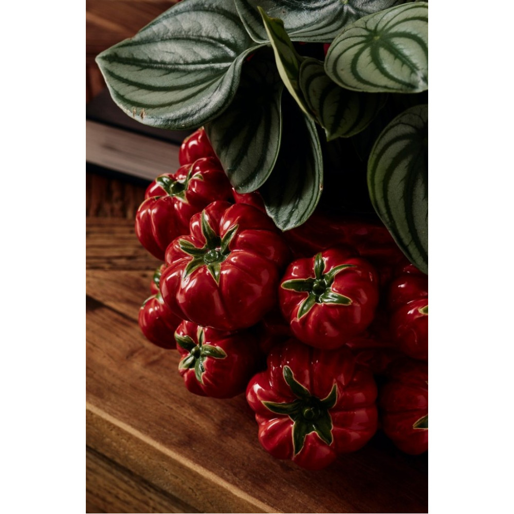 Bizzotto ВАЗА ГАСПАЧО RED RO D26