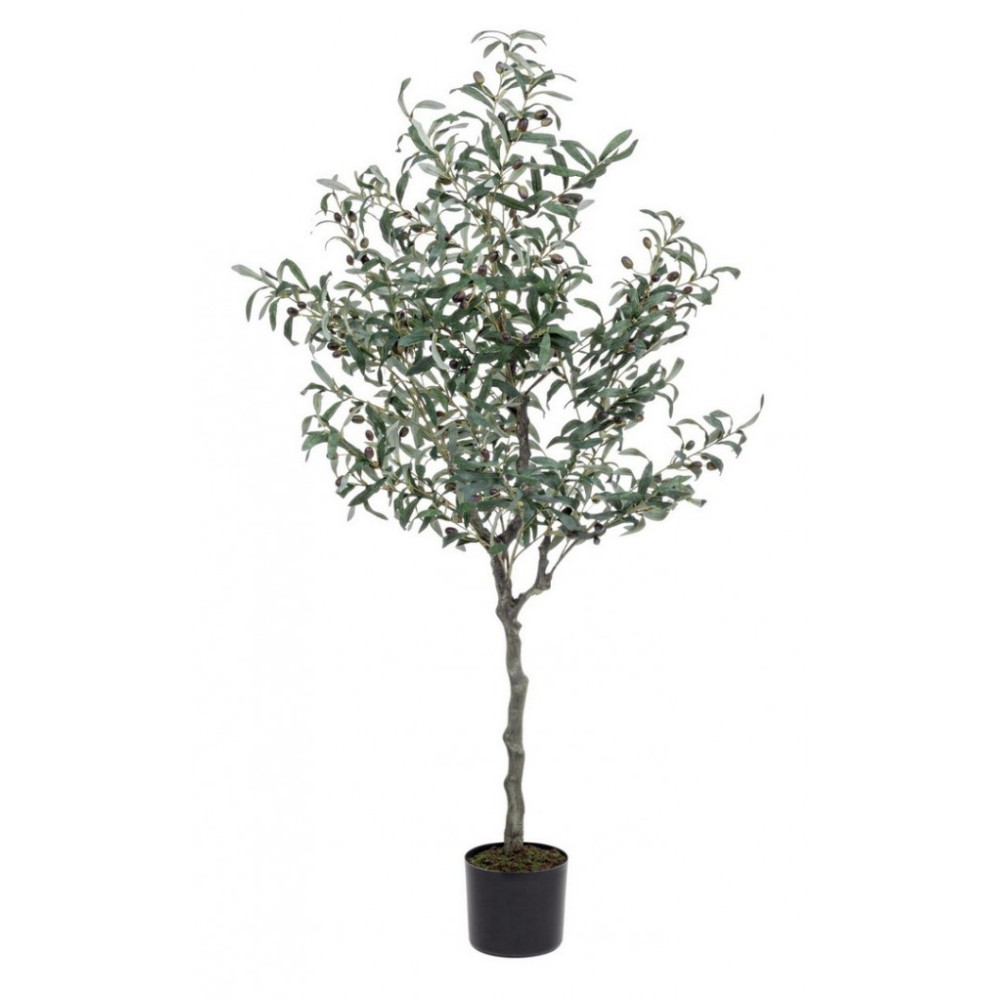 Bizzotto ОЛІВКА 984 ЛИСТЯ H150CM W-ВАЗА