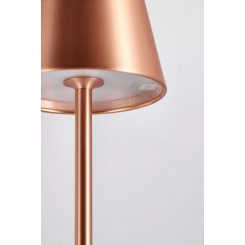 Bizzotto Світлодіодний торшер ETNA BRONZE H115